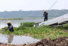 Saneamiento de la presa Endhó (Foto de Efrain Espinoza)