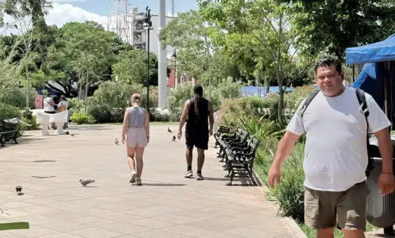 Calor extremo en Yucatán también golpea la salud mental, advierten especialistas (Foto de internet)