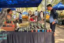 estos son los bazares del corredor botánico en mayo en mérida