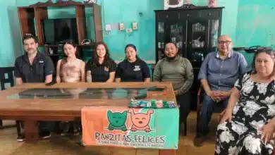Expo Mérida Fest Canino prepara segunda edición con enfoque en adopciones