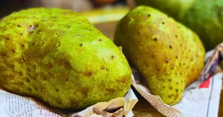 guanábana reina de la temporada de calor en yucatán