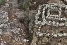 inah preserva posible altar maya en yucatán durante obras del tren maya de carga