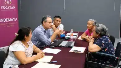 indemaya brinda asesoría gratuita para acceso a pensiones y beneficios de ee.uu.