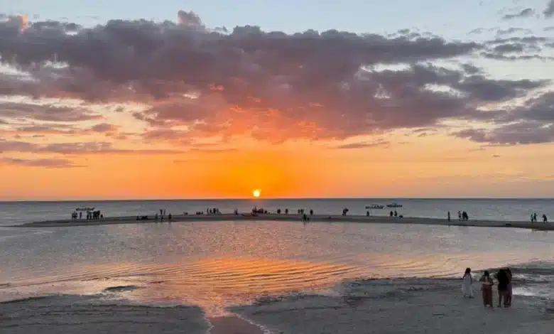 las dunas de chuburná, un tesoro natural que protege la costa yucateca