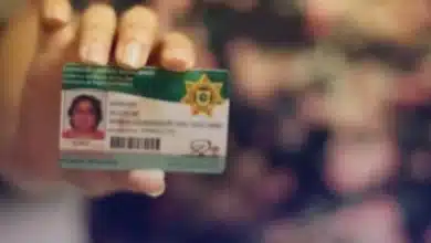 licencias de conducir en yucatán 2026 mantienen descuentos y trámites gratuitos para diversos sectores