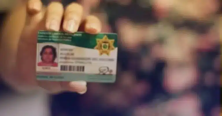 licencias de conducir en yucatán 2026 mantienen descuentos y trámites gratuitos para diversos sectores