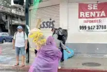 lluvias en yucatán disparan enfermedades respiratorias, hongos y riesgo de dengue