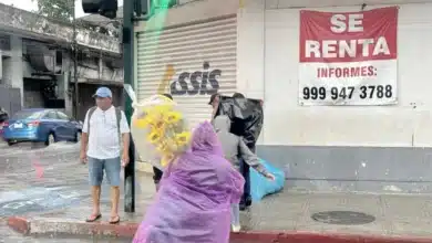 lluvias en yucatán disparan enfermedades respiratorias, hongos y riesgo de dengue