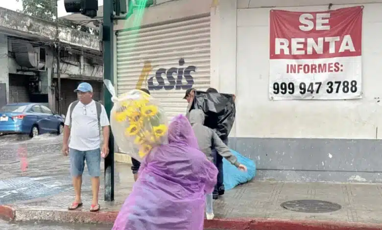 lluvias en yucatán disparan enfermedades respiratorias, hongos y riesgo de dengue