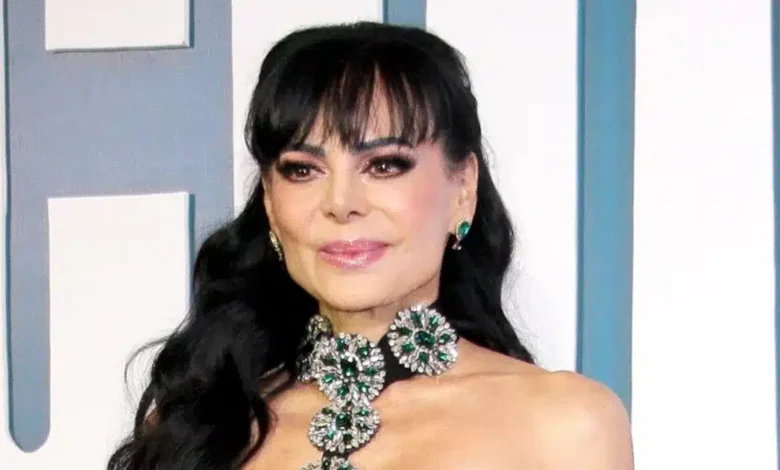 maribel guardia modifica su testamento tras disputa legal por la tutela de su nieto