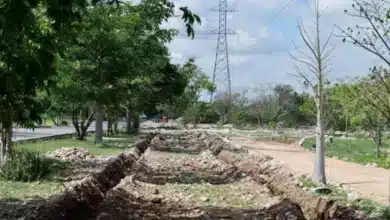 mérida impulsa corredores verdes en caucel y brisas y anuncia cruzada forestal 2026