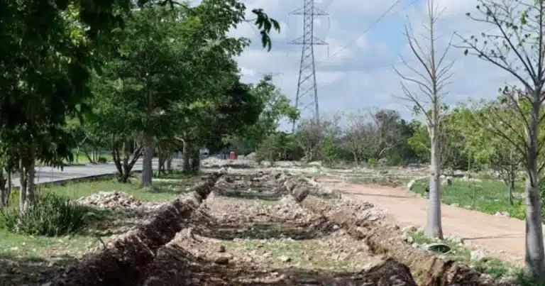 mérida impulsa corredores verdes en caucel y brisas y anuncia cruzada forestal 2026