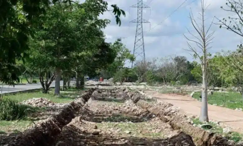 mérida impulsa corredores verdes en caucel y brisas y anuncia cruzada forestal 2026