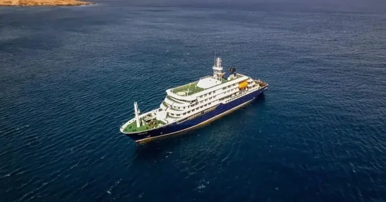 Pasajero de crucero MV Hondius da positivo a hantavirus sin presentar síntomas