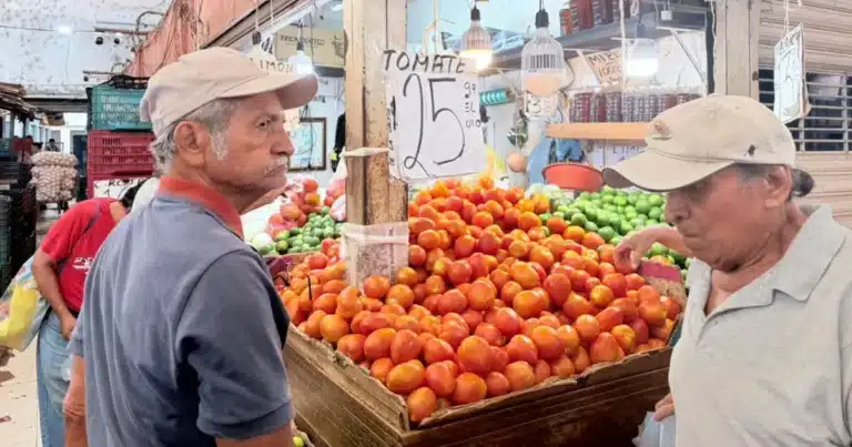 precio del tomate no subirá a 80 pesos el kilo en yucatán
