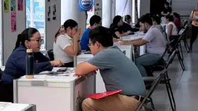 preparan ferias de empleo en mérida para profesionistas