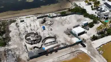 profepa detecta daños en manglares y clausura obras irregulares en costas de yucatán
