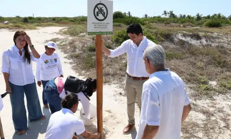 Progreso fortalece acciones para preservar las dunas costeras en Chuburná Puerto