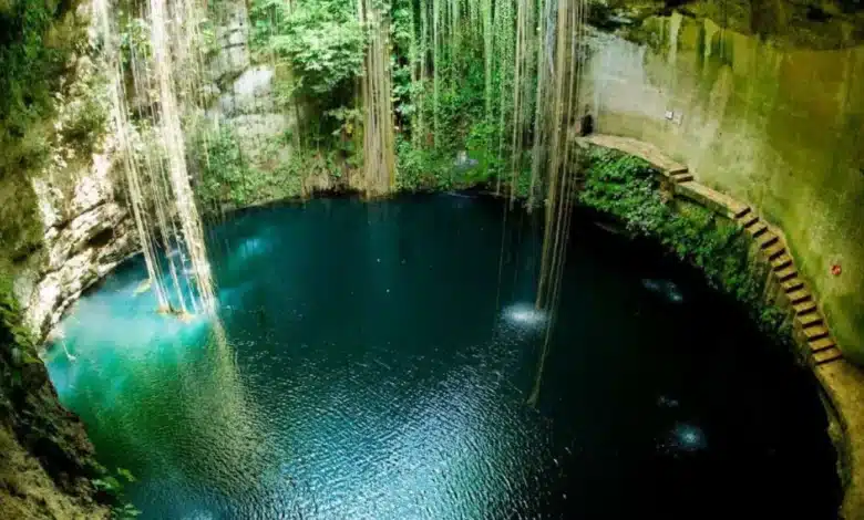 ¿Qué son los cenotes y por qué son fundamentales para la vida en Yucatán?