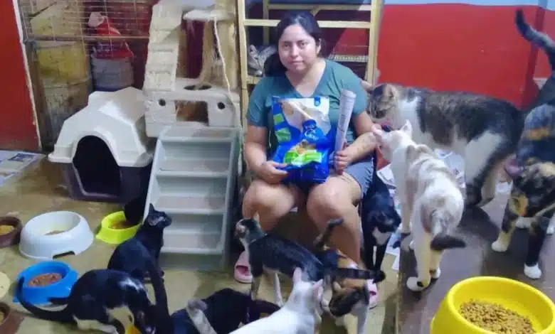 refugio “hogar colitas mid” realiza venta con causa para apoyar a animales rescatados