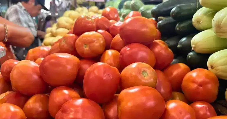 se estabiliza el precio del tomate en yucatán, pero restaurantes mantienen cautela