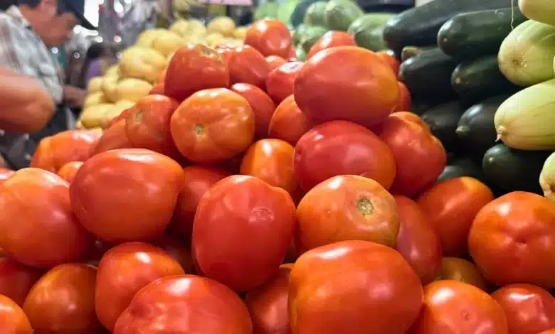 se estabiliza el precio del tomate en yucatán, pero restaurantes mantienen cautela