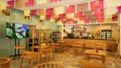 sembrando vida inaugura cafetería en paseo de la reforma y apuesta por el café de especialidad mexicano