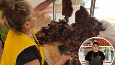 todo listo para el festival de la chicharra en xcalachén este 16 de mayo