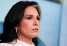 tulsi gabbard renuncia como directora de inteligencia nacional de ee. uu.