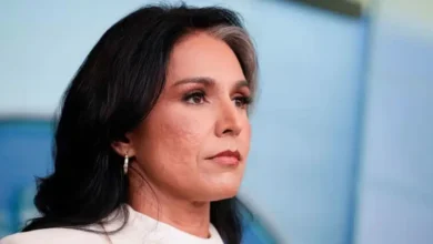 tulsi gabbard renuncia como directora de inteligencia nacional de ee. uu.