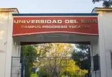 universidad del mar arrancará con meta de 300 alumnos en yucatán
