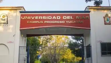 universidad del mar arrancará con meta de 300 alumnos en yucatán