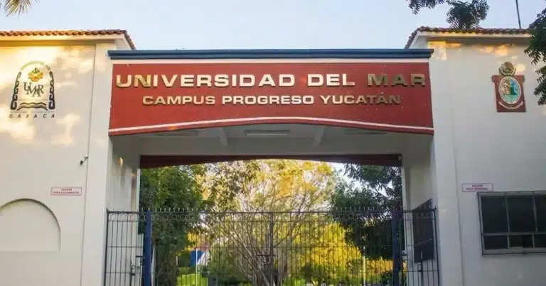 universidad del mar arrancará con meta de 300 alumnos en yucatán