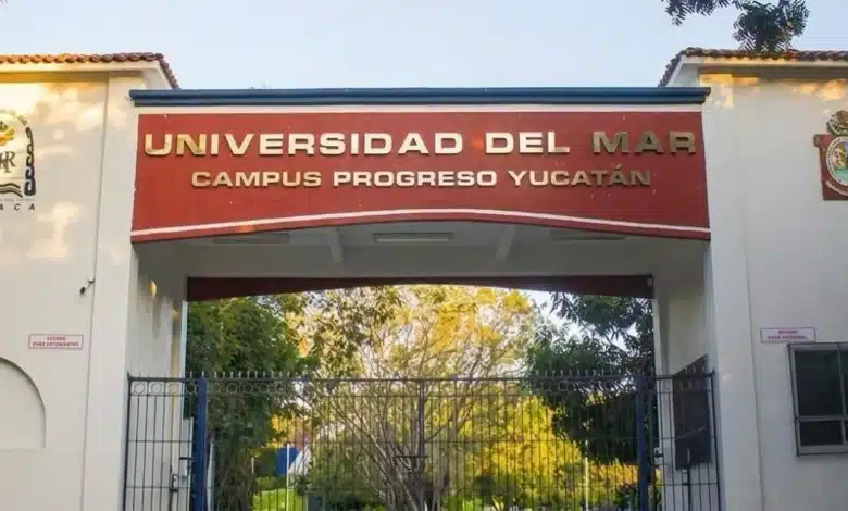 universidad del mar arrancará con meta de 300 alumnos en yucatán
