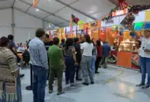yucatán conquista la cdmx con su cochinita