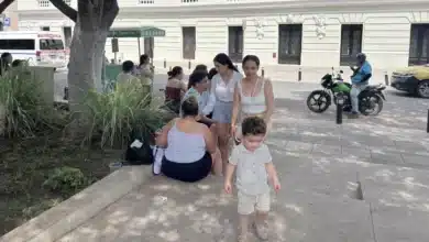 yucatán obligará a los 106 municipios a crear áreas de protección para la infancia