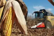 Fertilizantes lideran el aumento de precios en mercados internacionales: Banco Mundial