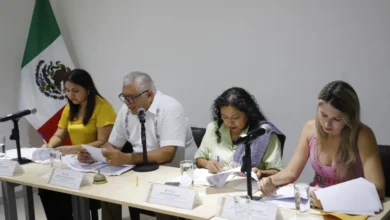 aprueban castigos más severos por ataques digitales