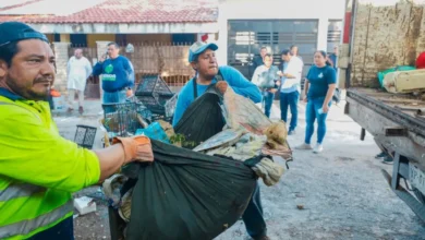 ayuntamiento de mérida retira 76 toneladas de basura de predios acumuladores
