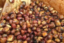 burritos de maíz, el dulce ancestral de tlaxcala que resiste al paso del tiempo