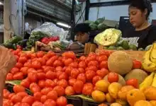cae en picada el precio del tomate y el limón en yucatán hasta 3.5 pesos por kilo