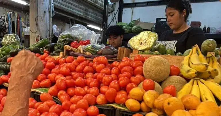 cae en picada el precio del tomate y el limón en yucatán hasta 3.5 pesos por kilo