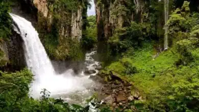 cañón de pextlán en xico la aventura de caminar sobre el agua en uno de los paisajes más impresionantes de veracruz