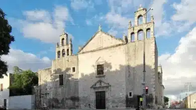 cecilia patrón anuncia el distrito mejorada