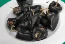 chile chilhuacle, el ingrediente emblemático que da identidad al mole negro de oaxaca