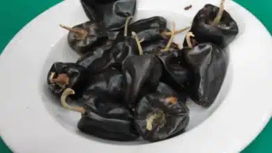 chile chilhuacle, el ingrediente emblemático que da identidad al mole negro de oaxaca