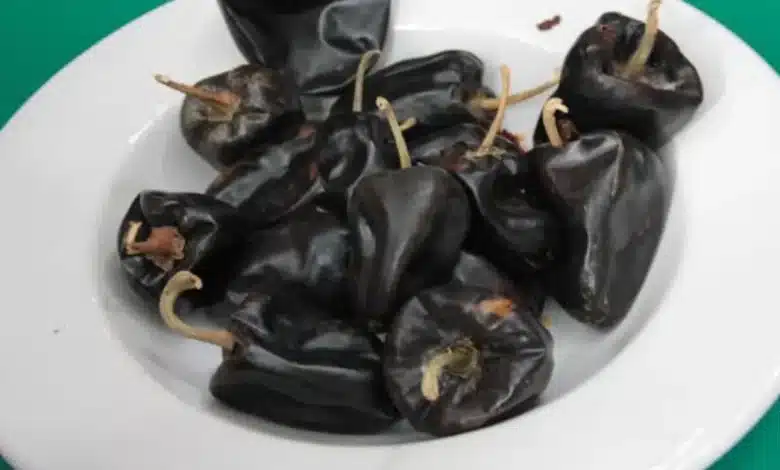 chile chilhuacle, el ingrediente emblemático que da identidad al mole negro de oaxaca