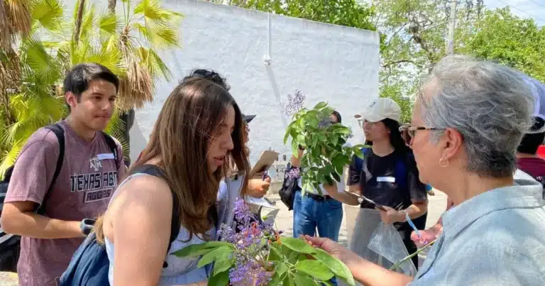 cicy mantiene abiertas actividades para toda la familia en verano