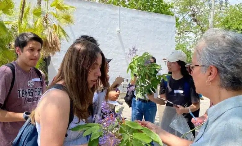 cicy mantiene abiertas actividades para toda la familia en verano
