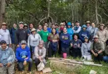 crean red de carbono azul para conservación de ecosistemas costeros en yucatán